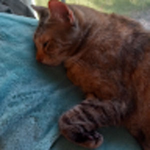 Meet your Posher, Kaden